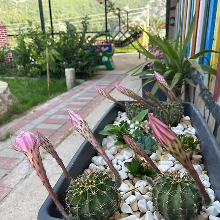 Adrasandaki Keyifli Tatil Villaniz *