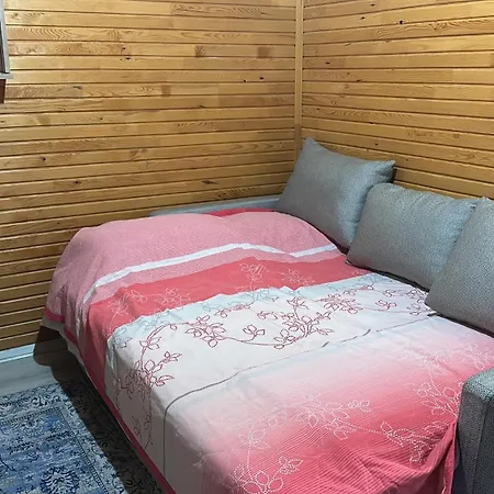 Adrasandaki Keyifli Tatil Villaniz 别墅