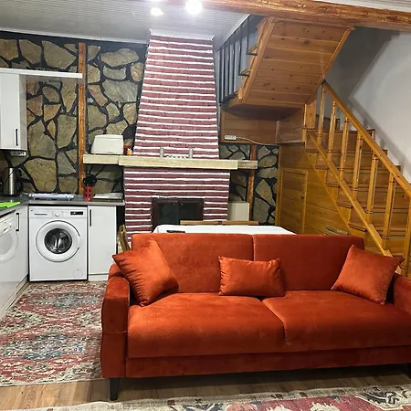 Adrasandaki Keyifli Tatil Villaniz 别墅